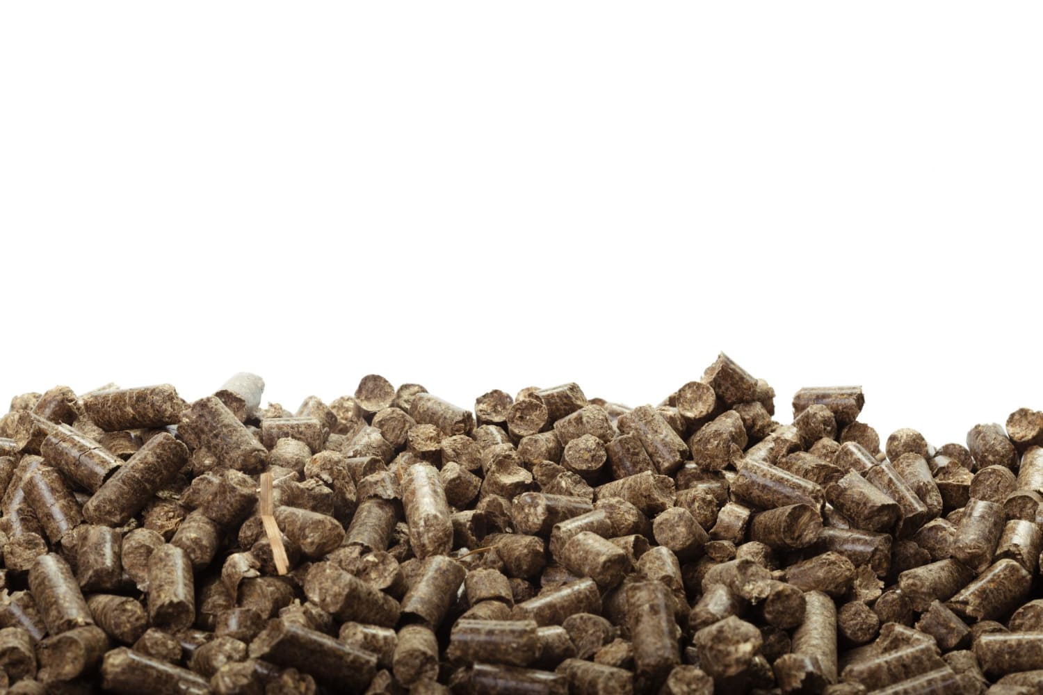 Biofuel Supplier in Rewari